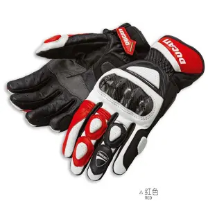 Wholesale price [$20] Ducati C1 Glove